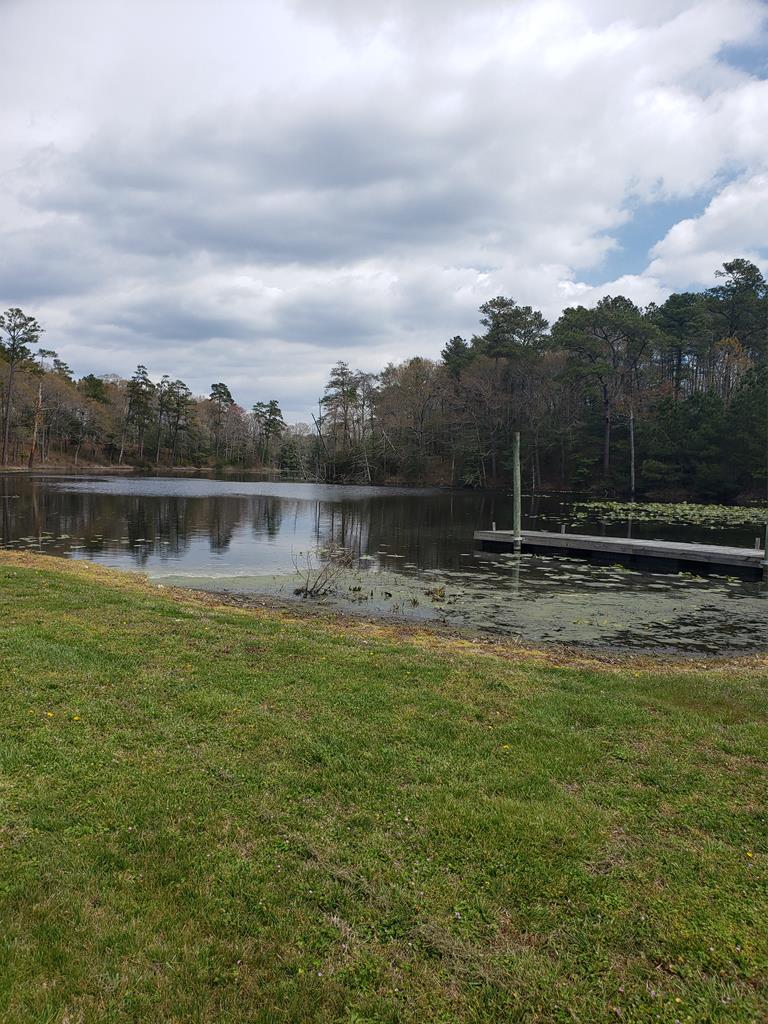 Community frest water pond